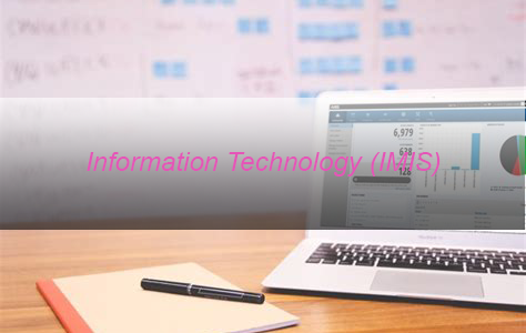 Cert in Information Technology (IMIS)