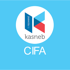 Certified Investment and Financial Analyst (CIFA)