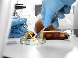 Food Technology, processing and Reservation